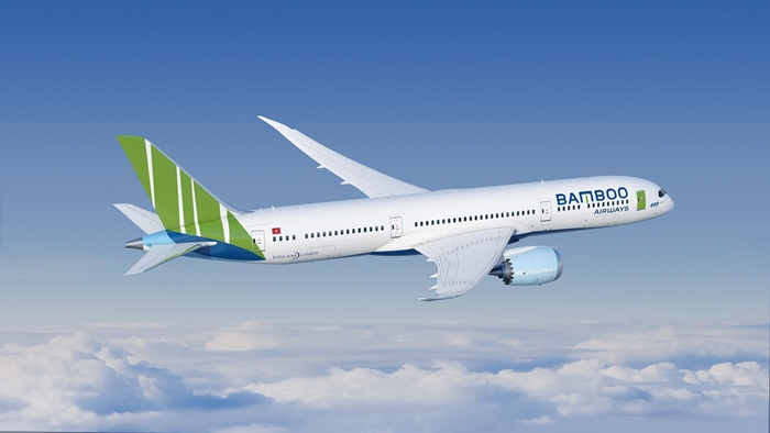 Dịch vụ vận chuyển cành mai, cành đào Tết 2020 Bamboo Airways