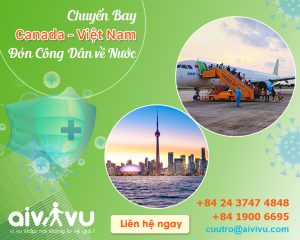 Vé máy bay từ canada về Việt Nam