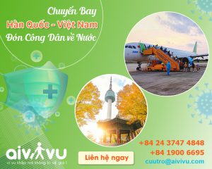 Vé máy bay từ Hàn Quốc về Việt Nam