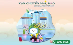 Bamboo Airways vận chuyển mai, đào dịp Tết Nguyên đán 2023